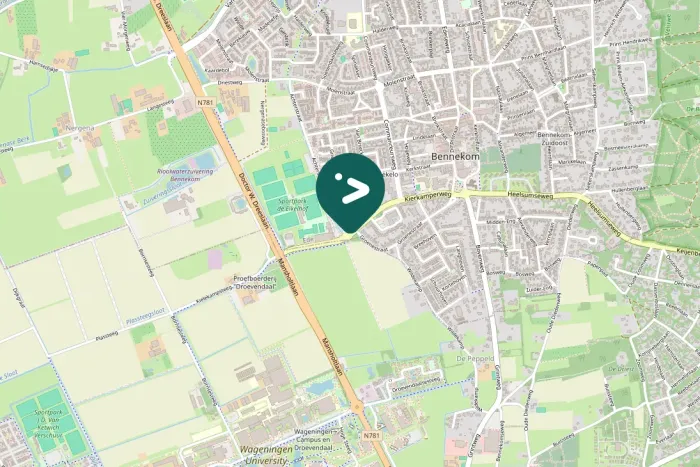 Spotted Eurasian Moorhen