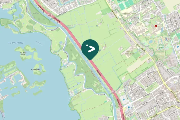 Spotted Canada Goose