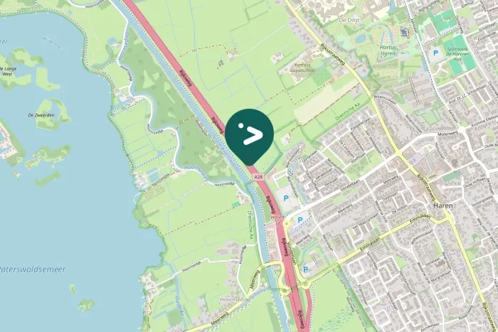 Spotted Black-headed Gull