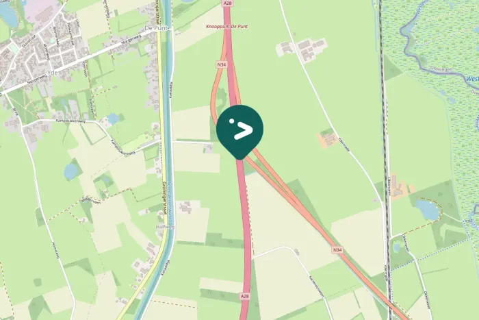 Gespotte Grote zilverreiger