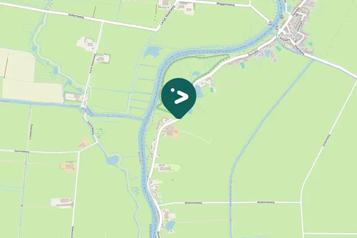 Gespotte Kleine mantelmeeuw