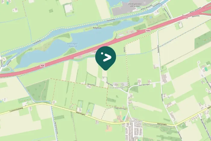 Gespotte Grote zilverreiger