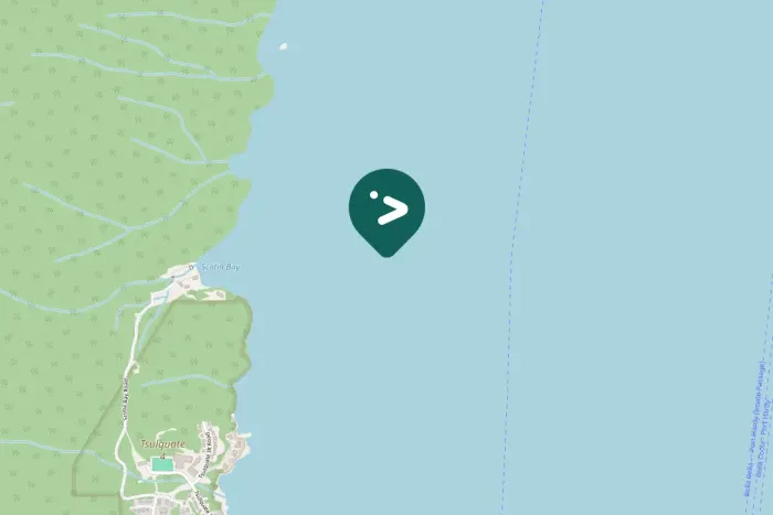 Gespotte Kleine geelpootruiter