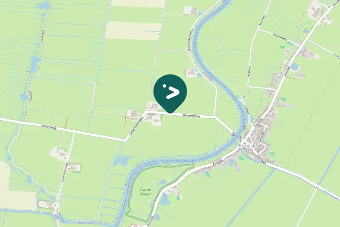 Gespotte Witte kwikstaart