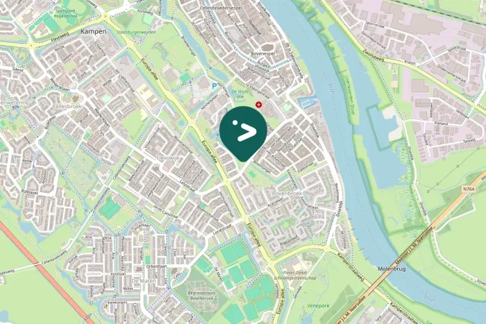 Gespotte Aalscholver