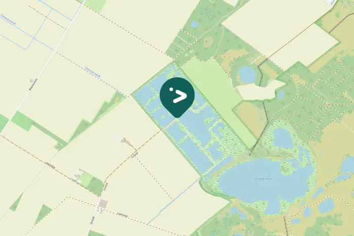 Gespotte Grote zilverreiger