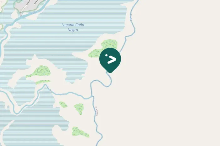 Gespotte Grijskopwouw