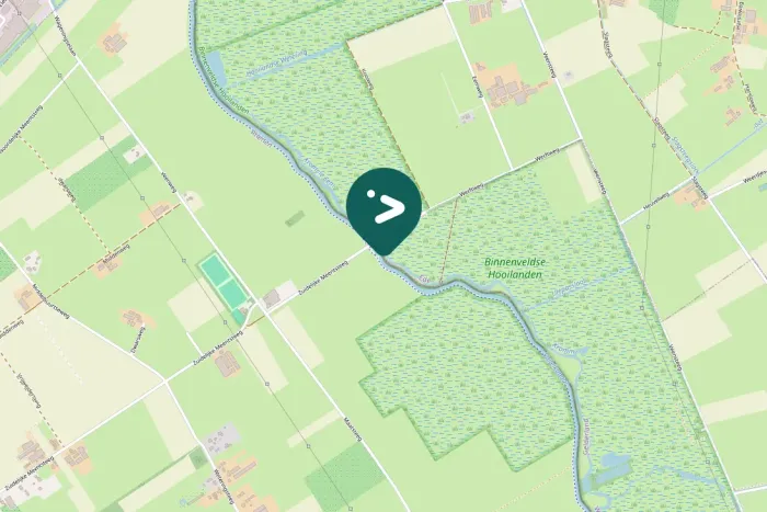 Spotted Eurasian Moorhen