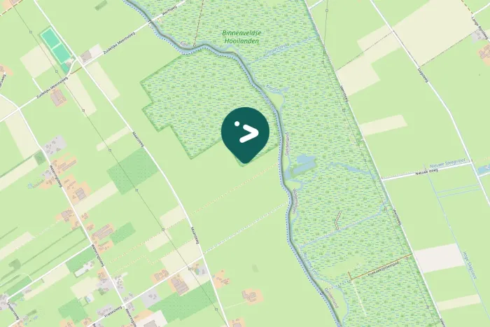 Gespotte Blauwe reiger