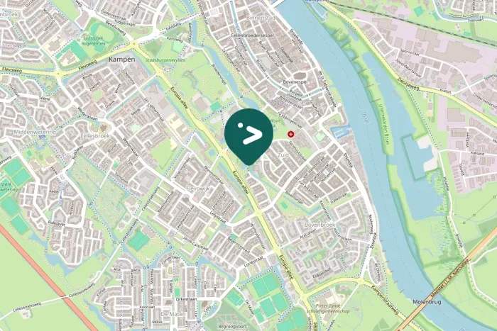 Gespotte Aalscholver