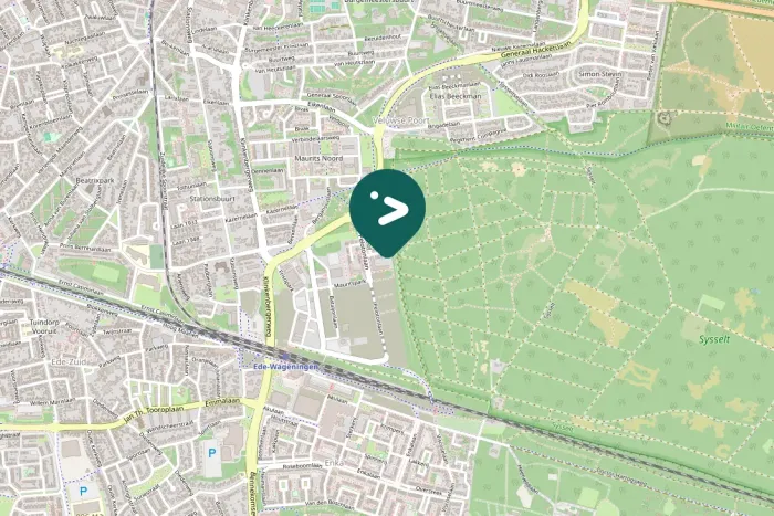 Spotted Eurasian Nuthatch