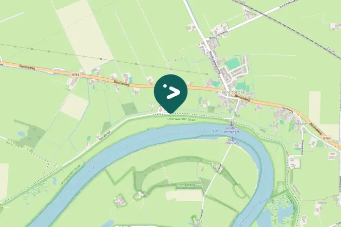 Gespotte Knobbelzwaan