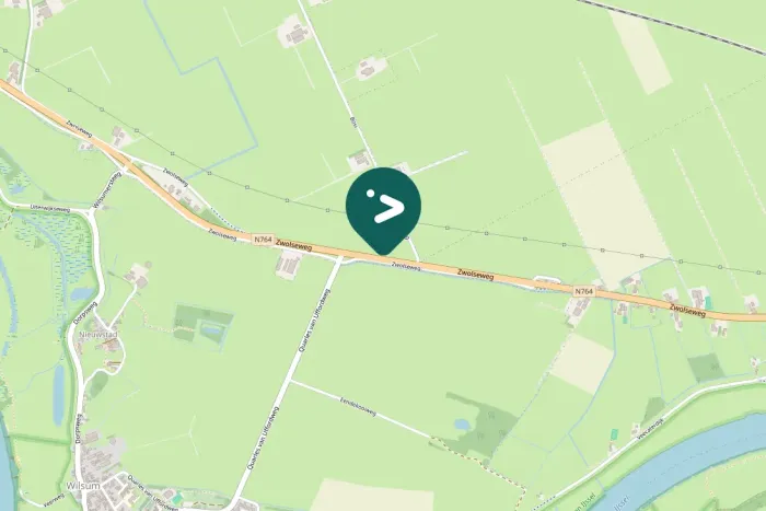 Gespotte Knobbelzwaan