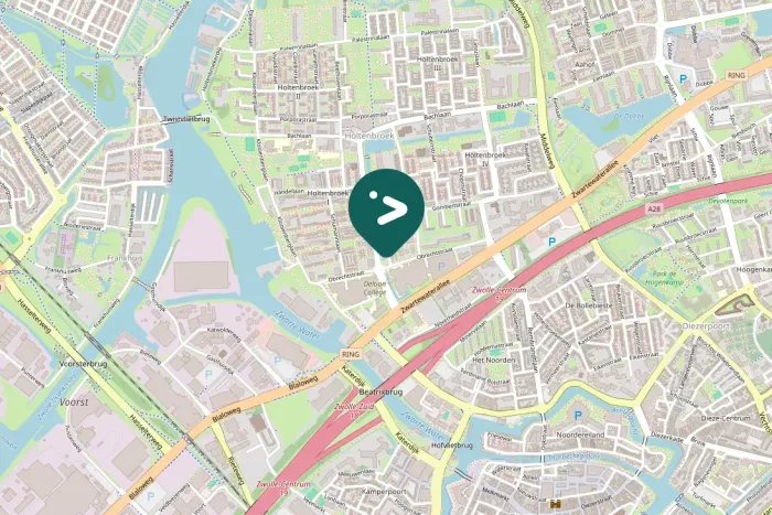 Gespotte Grote Canadese gans