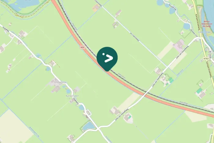 Gespotte Knobbelzwaan