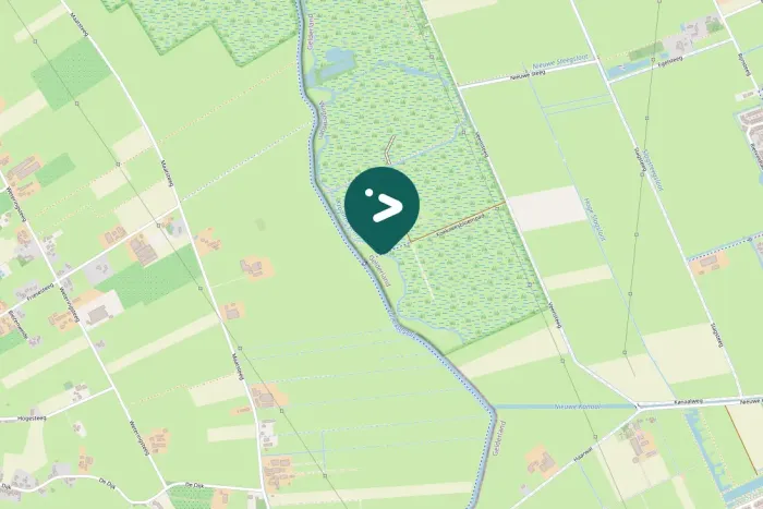 Gespotte Groene specht