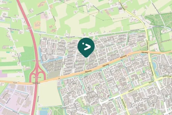 Spotted Common Wood-Pigeon