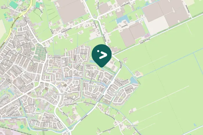 Gespotte Aalscholver