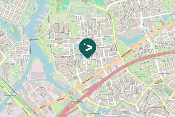 Gespotte Grote Canadese gans