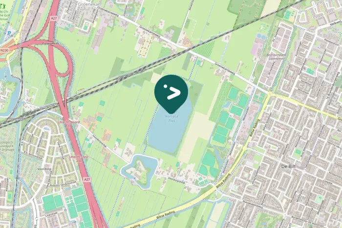 Gespotte Grauwe gans