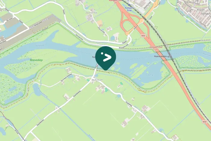 Gespotte Grauwe gans