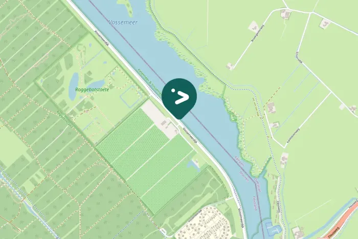 Gespotte Grote zaagbek