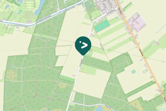 Gespotte Witte kwikstaart