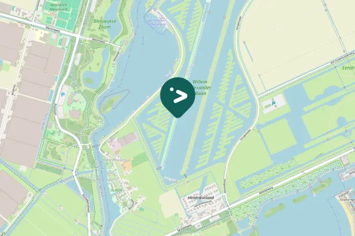 Gespotte Waterpieper