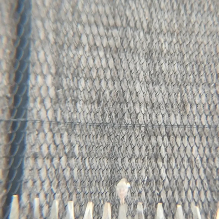 Gespotte Zwarte roodstaart