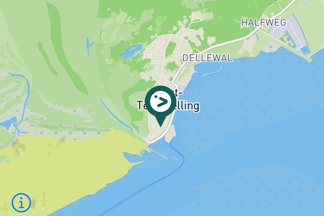 Spotted Eurasian Jackdaw