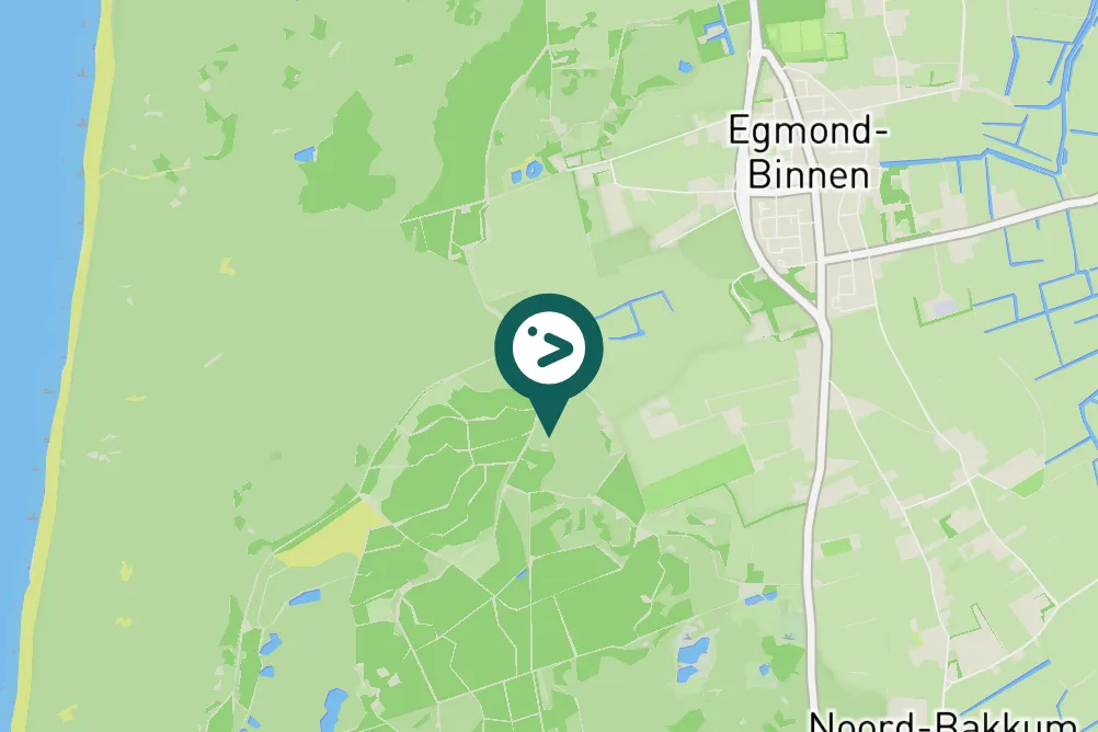 Spotted Bonelli's Eagle