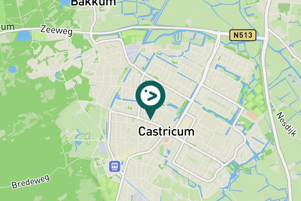 Spotted Eurasian Woodcock