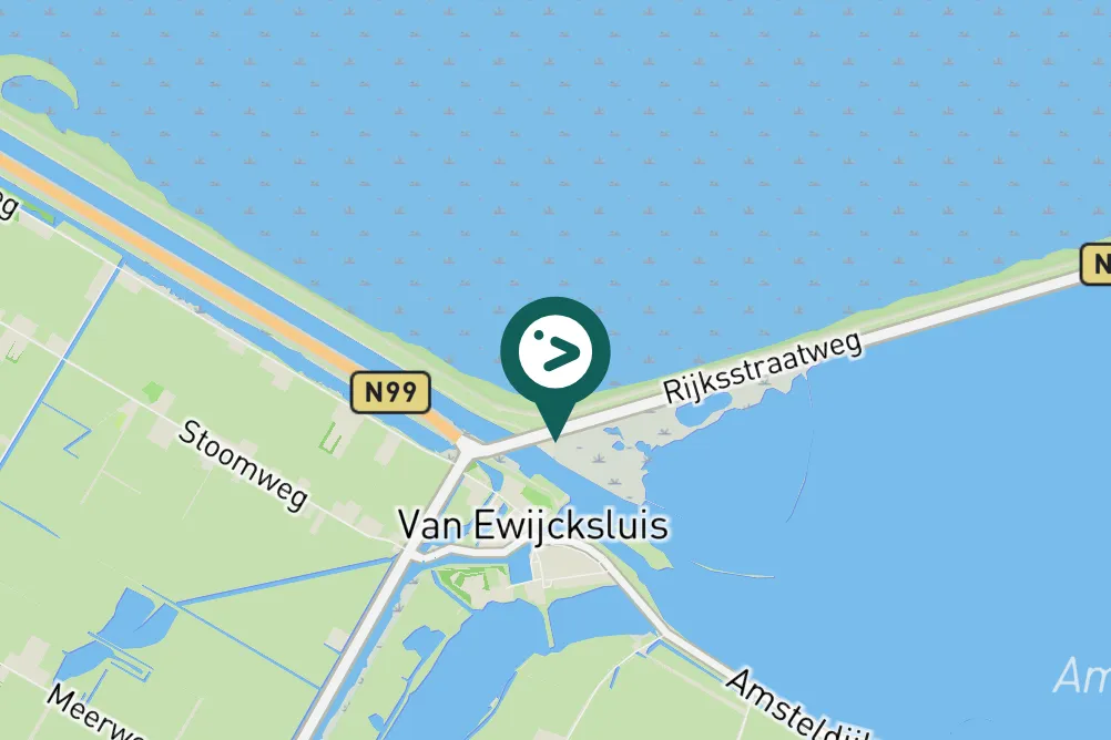 Spotted Ruddy Shelduck