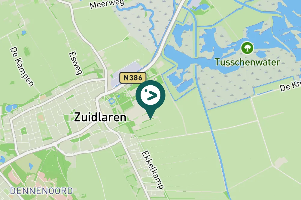 Spotted Temminck's Stint