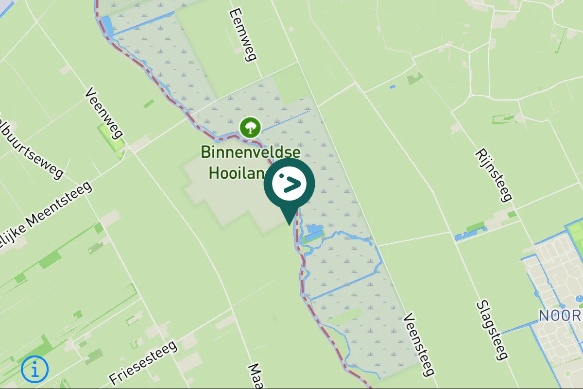 Spotted Eurasian Hobby