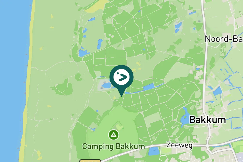 Spotted Purple Heron