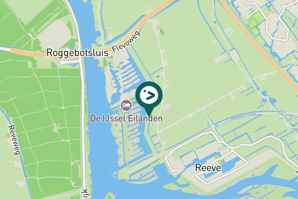 Spotted Common Sandpiper