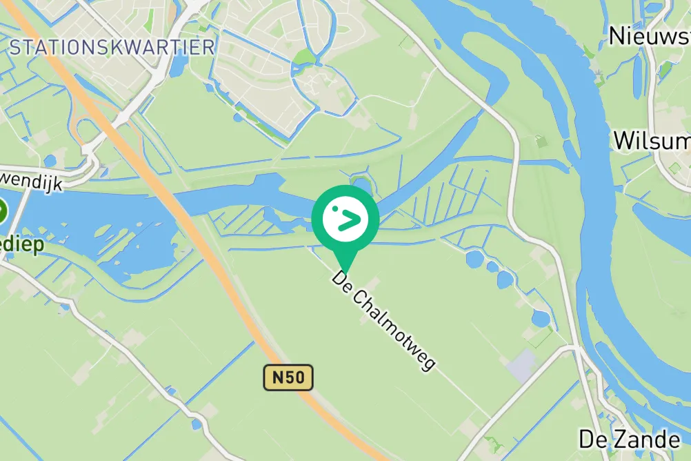 Spotted Ruddy Shelduck