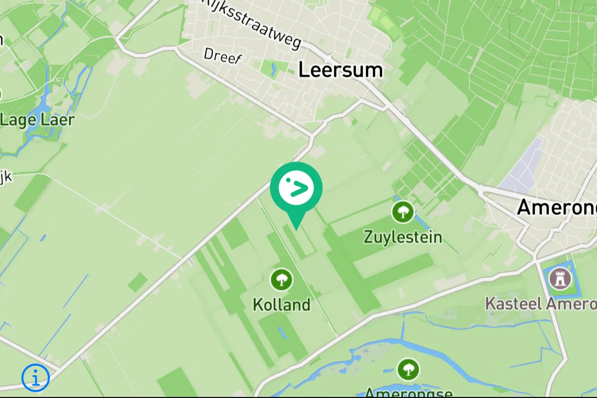 Spotted Eurasian Hobby