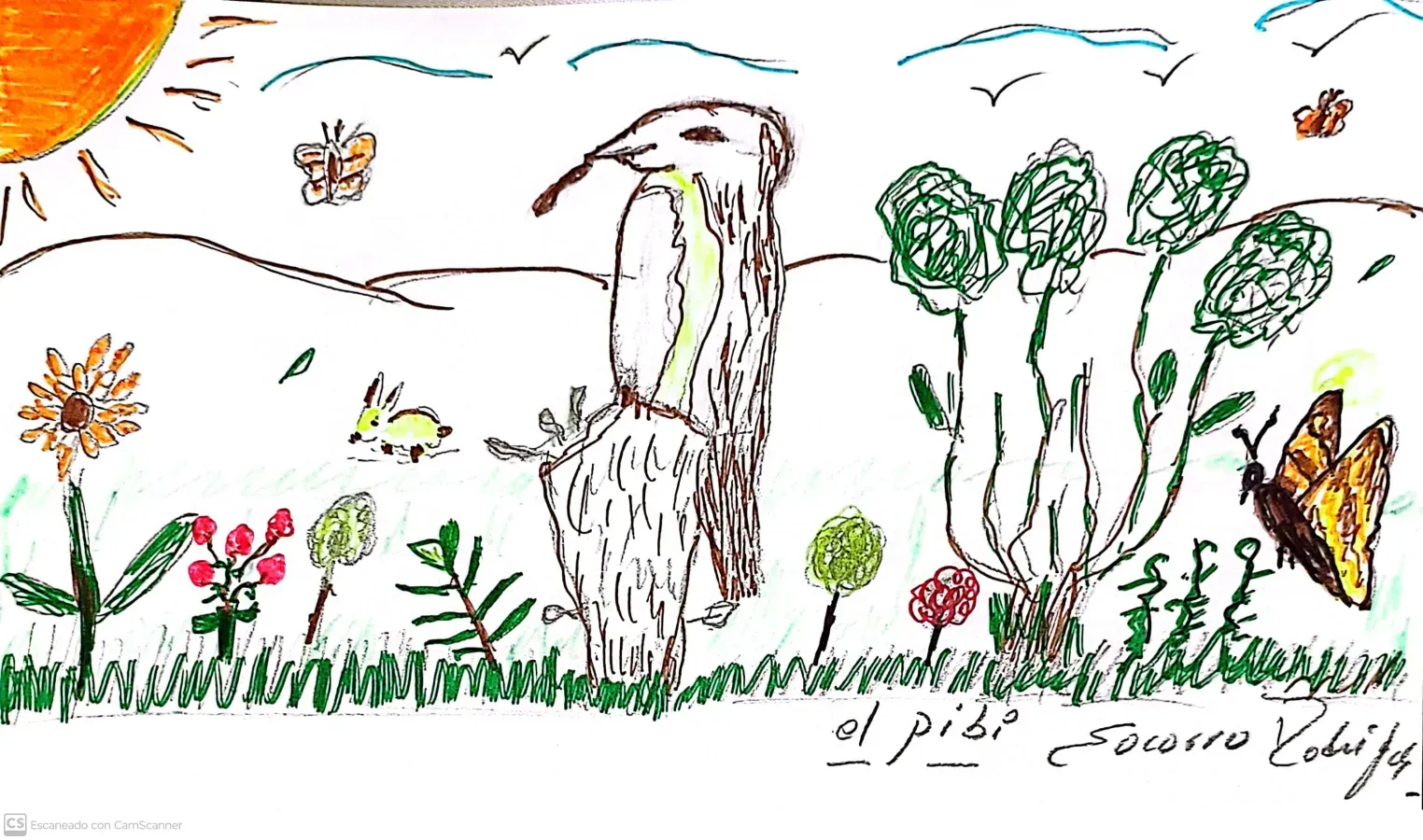 File:Contopus cooperi - El pibí boreal.jpg