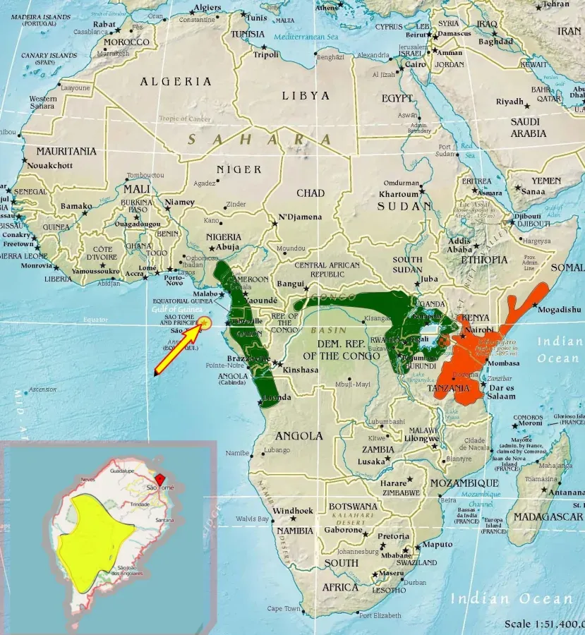 File:Lanius cabanisi&Lanius mackinnoni&Lanius newtoni distr.jpg