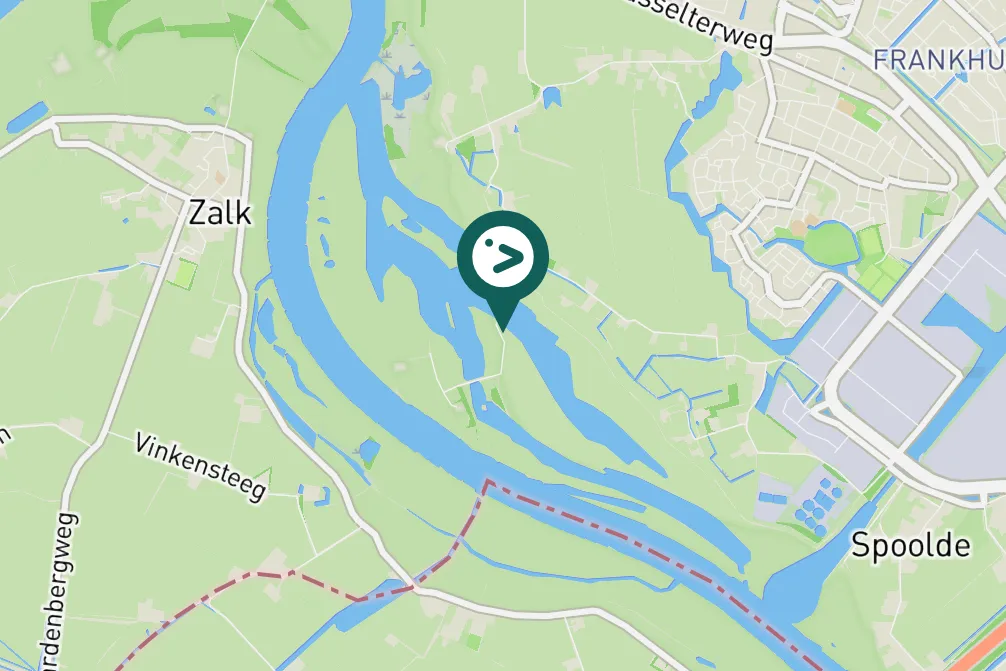 Spotted Eurasian Wigeon