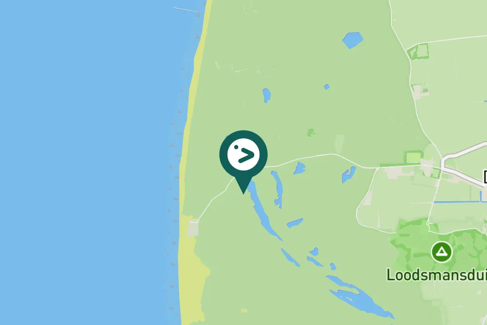 Spotted Red-necked Phalarope