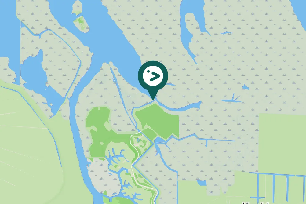 Spotted European Starling