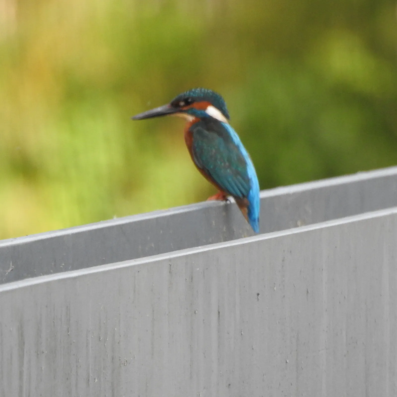 Concept-waarneming foto