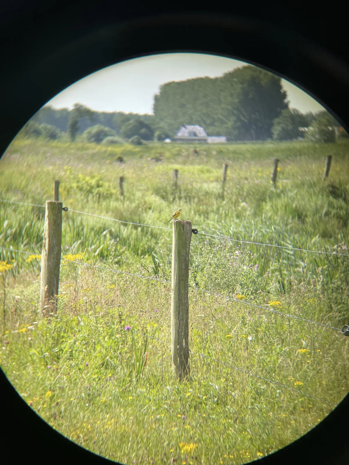 Concept-waarneming foto