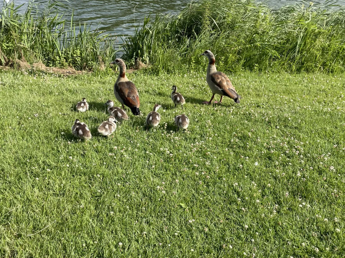 Concept-waarneming foto