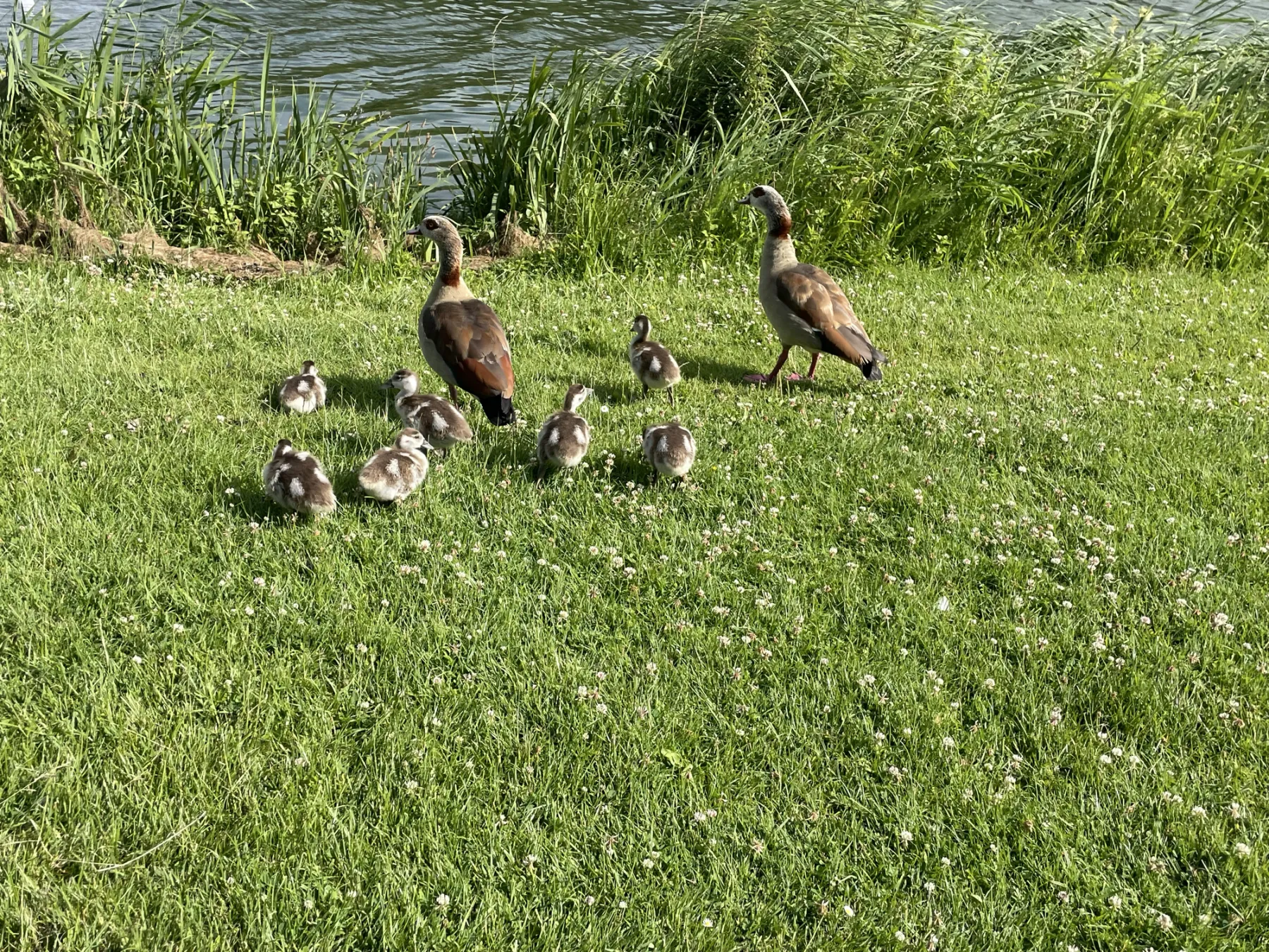 Concept-waarneming foto