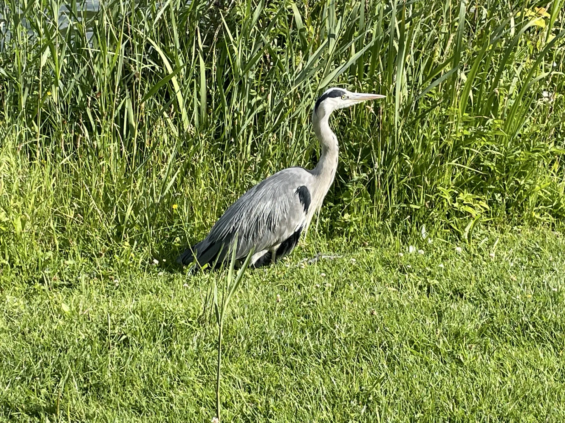 Concept-waarneming foto