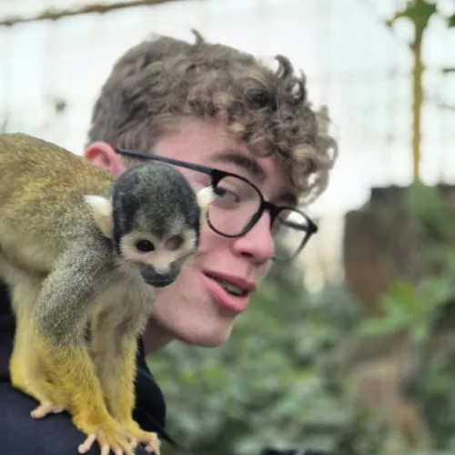 Mateo Vande Cappelle